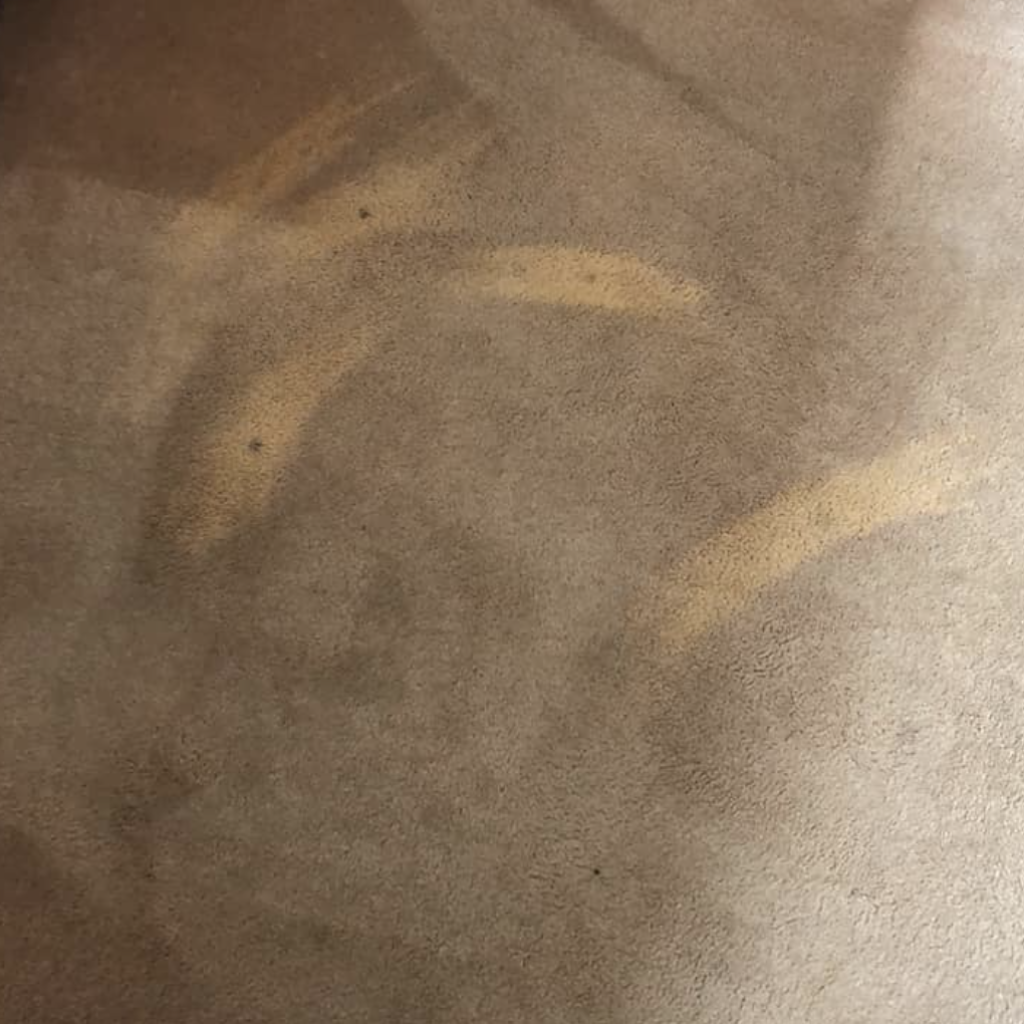 Bleach Damage on Nylon Carpet